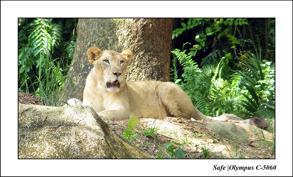 2005 - 06 - Zoo 040.JPG